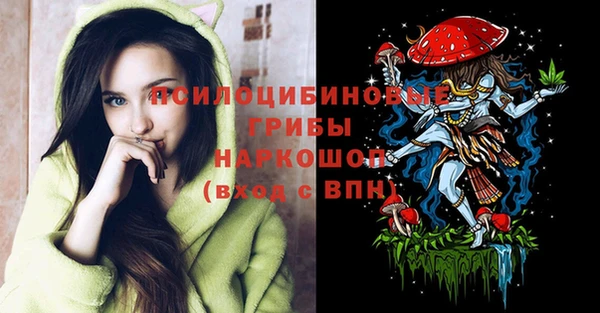 мяу мяу мука Касимов